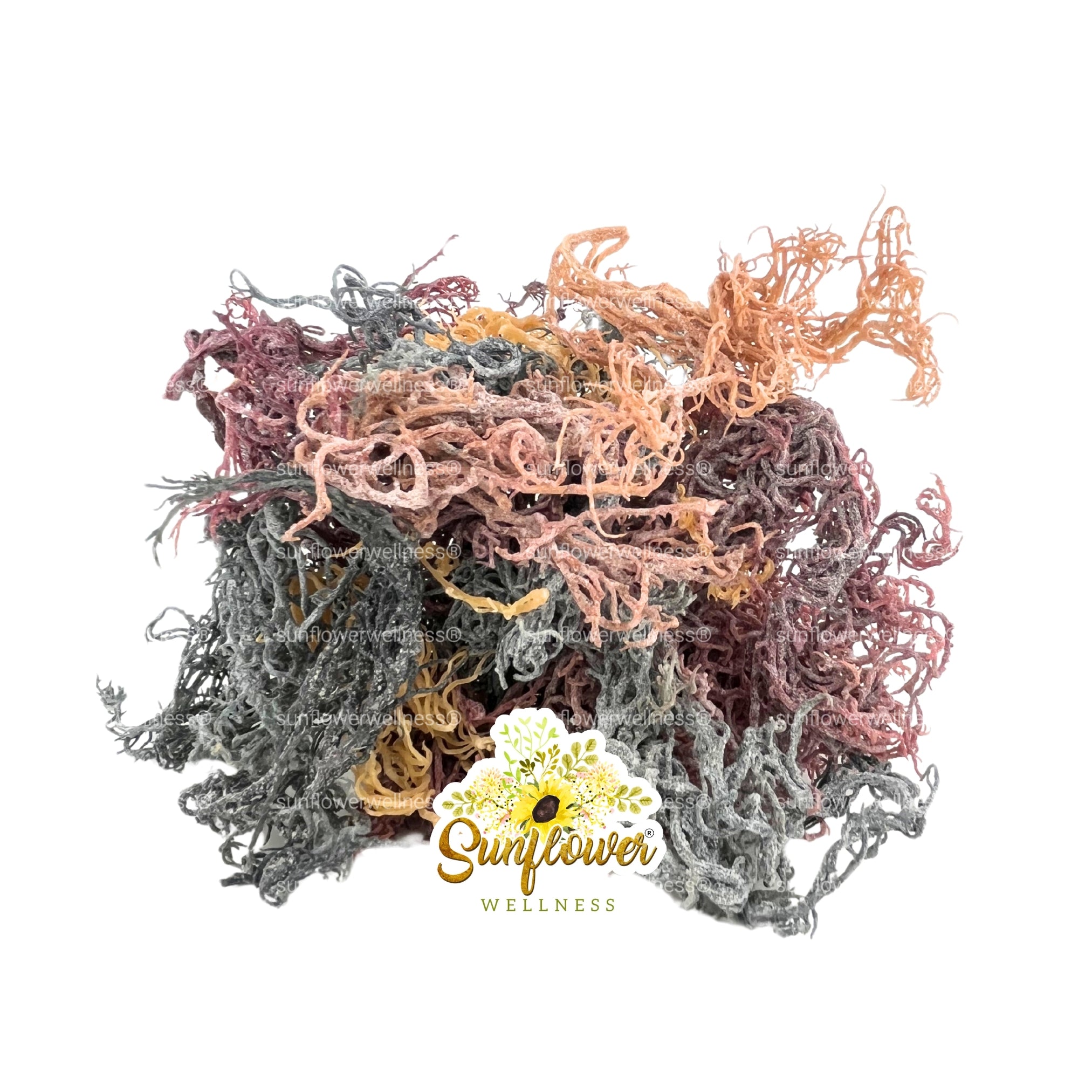 Mixed sea moss strands showing gold, purple, and green varieties. Also called Full Spectrum.