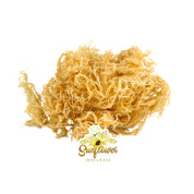 Sun-dried gold sea moss strands with natural texture and color.