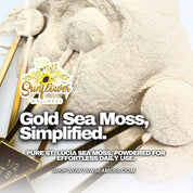 Gold sea moss powder by Sunflower Wellness – wildcrafted Eucheuma cottonii superfood from warm Caribbean waters of Saint Lucia. Easy to mix into smoothies, teas, or recipes for everyday wellness.