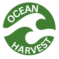 Logo featuring a natural ocean-inspired design, symbolizing sustainably harvested sea moss from open waters.