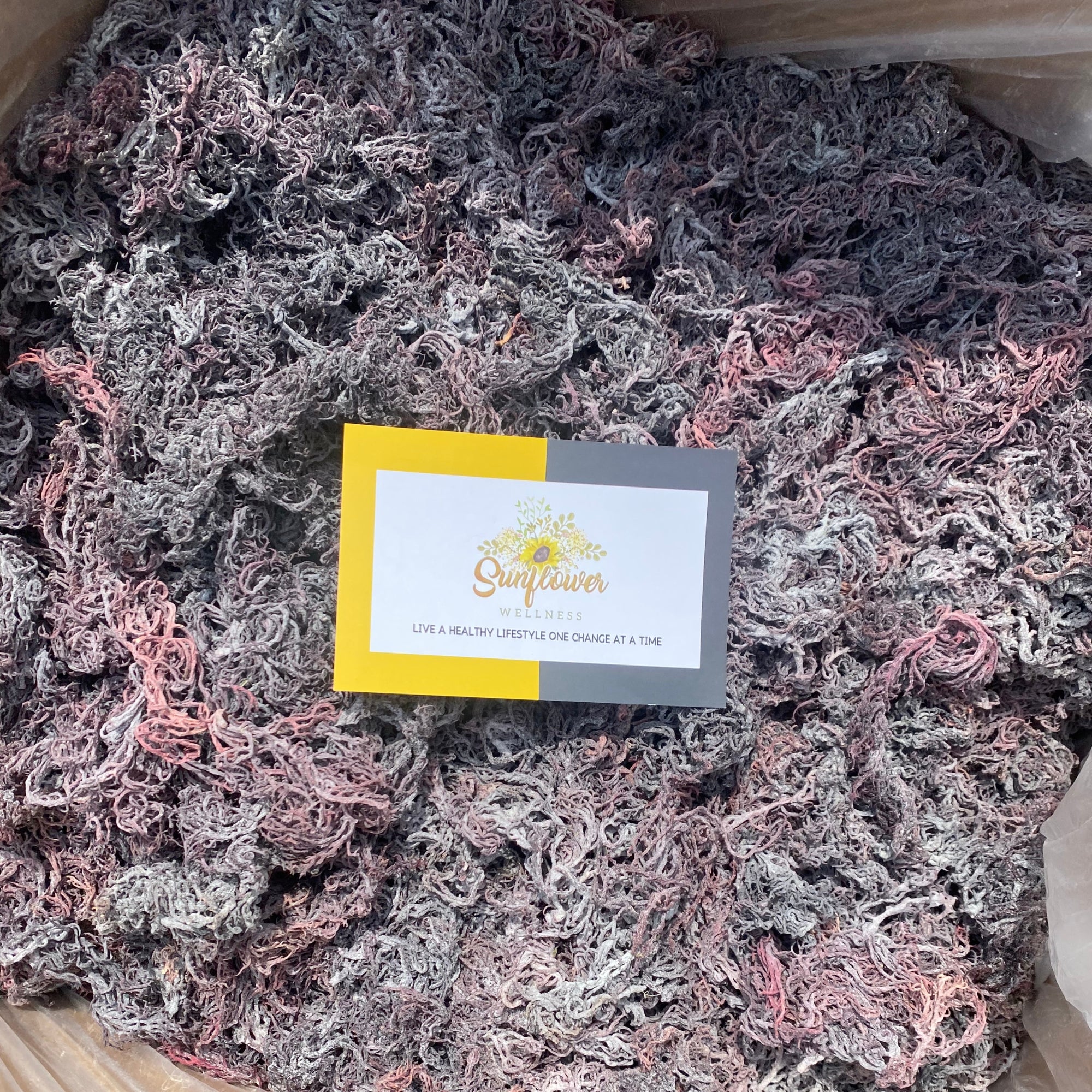 Wildcrafted St Lucia purple sea moss in bulk